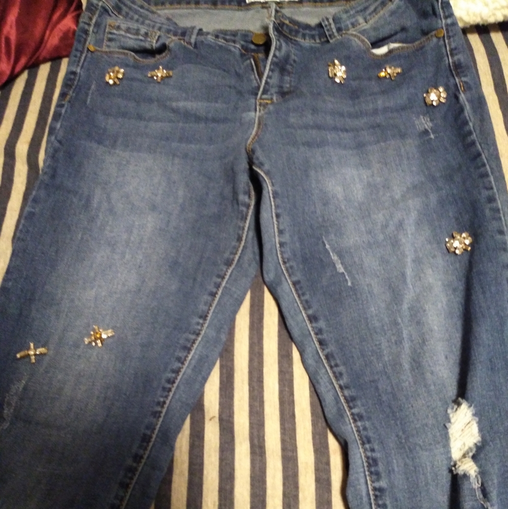 Distressed Bedazzled Cute Ankle Pants